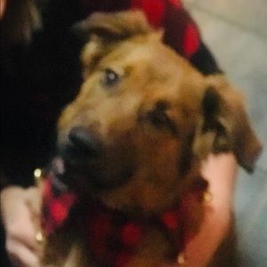 Meet your Posher, Jackie